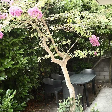 Apartment Le Voisin Toulousain